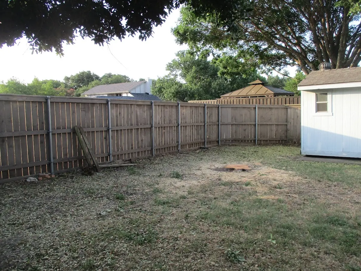 Cleared yard after professional tree removal in New Freedom