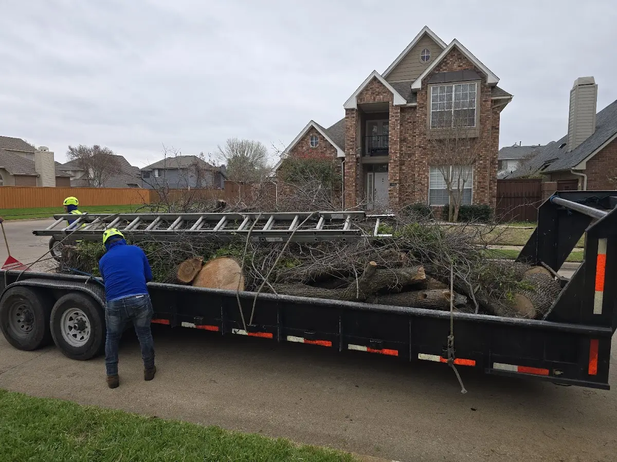 Expert Tree Fertilization with proper safety equipment in New Freedom